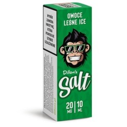 Liquid Dillon's Salt - Owoce Leśne Ice 20mg 10ml | Doctorvape