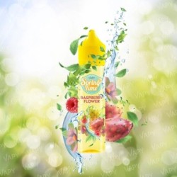 Longfill VAPY Spring Time Premix 10/60ml Raspberry Flower