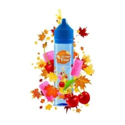 Longfill VAPY Autumn Time 10/60ml Cherry Gum | DoctorVape