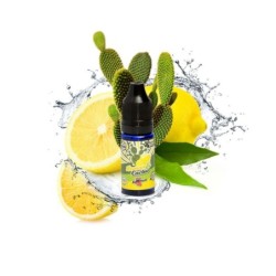 Koncentrat Big Mouth - Cytrynowy Kaktus Retro Juice 10ml | Doctorvape