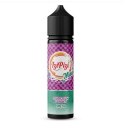 Longfill Izi Pizi Mint 6/60ml - Fruity Sorbet Mint | DoctorVape
