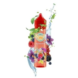 Longfill VAPY Spring Time 10/60ml Heisberry