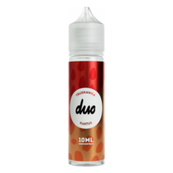Longfill DUO koncentrat 10/60ml - Truskawka Kaktus